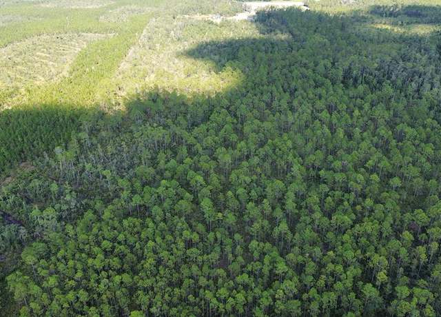 Property at Tract F Bergman Rd, Naylor, GA 31641