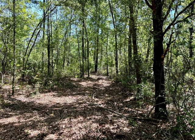 Property at 0 Highway 135, Naylor, GA 31641
