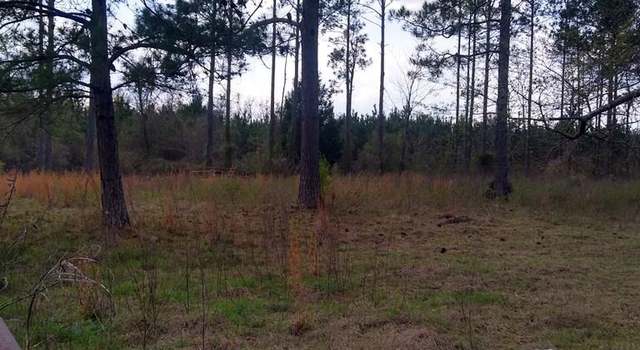 Photo of Lot 2 Piney Ln, Lake Park, GA 31636