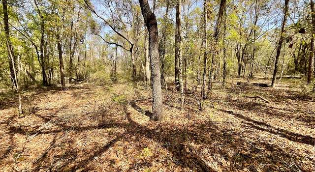 Photo of Vacant Persimmon Dr, FL 32350