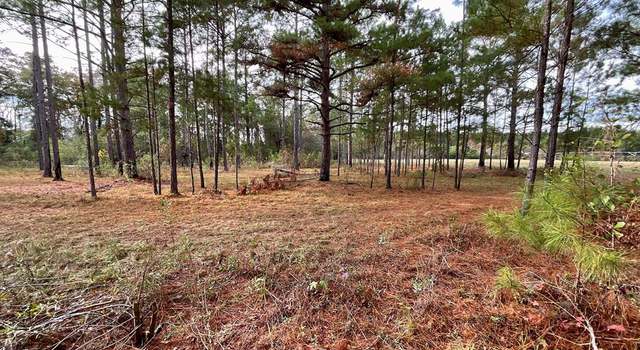 Photo of Vacant Stanfield Dr, Pavo, GA 31778