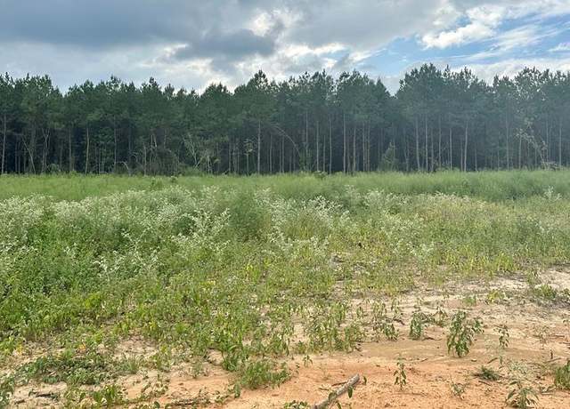 Property at 2009 Maverick Ln, Bogue Chitto, MS 39629