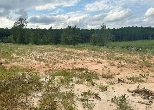 Property at 1310 Cowboy Trl, Bogue Chitto, MS 39629