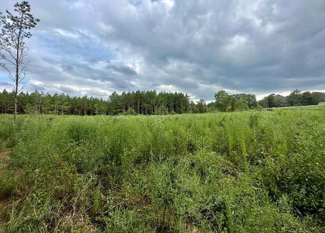 Property at 2346 Traci Loop, Bogue Chitto, MS 39629