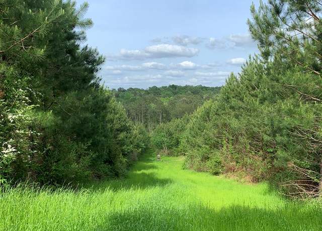 Property at . Macedonia Rd, Centreville, MS 39631