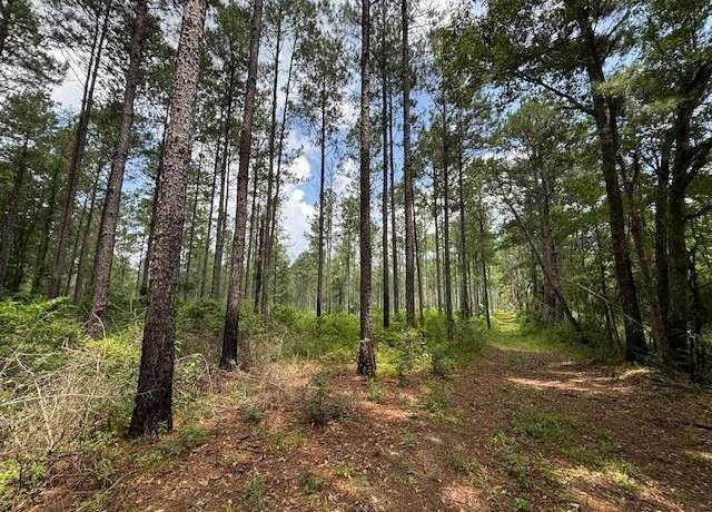 Property at 182 Hwy 44, Jayess, MS 39641