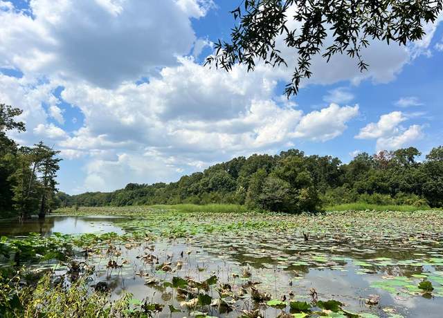 Property at TBD East Levee Rd, MS 11111