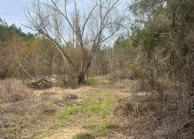 Property at 000 Felix Sartin, Columbia, MS 39654
