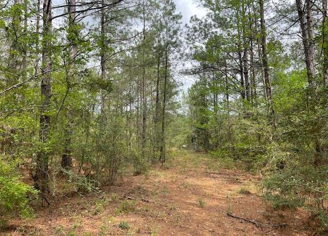 Property at 0000 Charlie Rhodus Rd, Magnolia, MS 39652