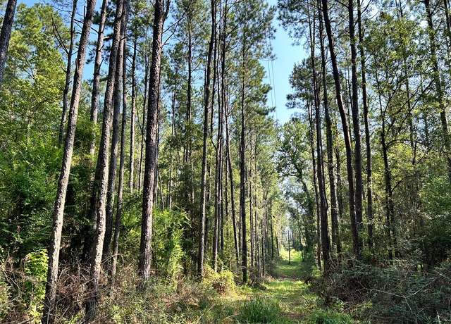 Property at Tract B Welch Ln, LA 70444
