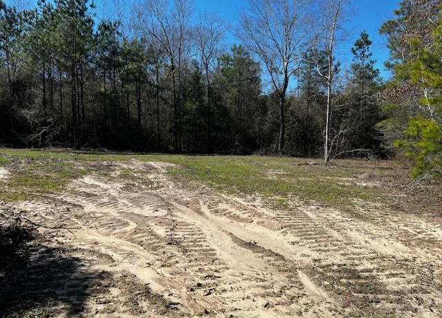 Property at Lot #4 Jessie Stogner Rd, Sandy Hook, MS 39667
