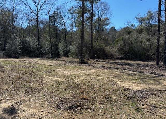 Property at Lot #6 Jessie Stogner Rd, Sandy Hook, MS 39667