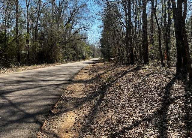 Property at Lot #3 Jessie Stogner Rd, Sandy Hook, MS 39667