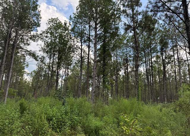 Property at 0 Graves Rd, Liberty, MS 39645