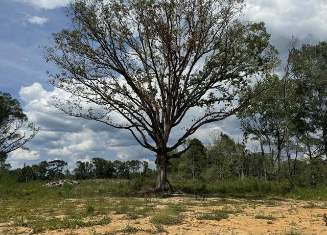Property at 0 Busy Corner Rd, Gloster, MS 39638