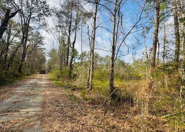 Property at TBD Mt Carmel Church Rd, Columbia, MS 39642