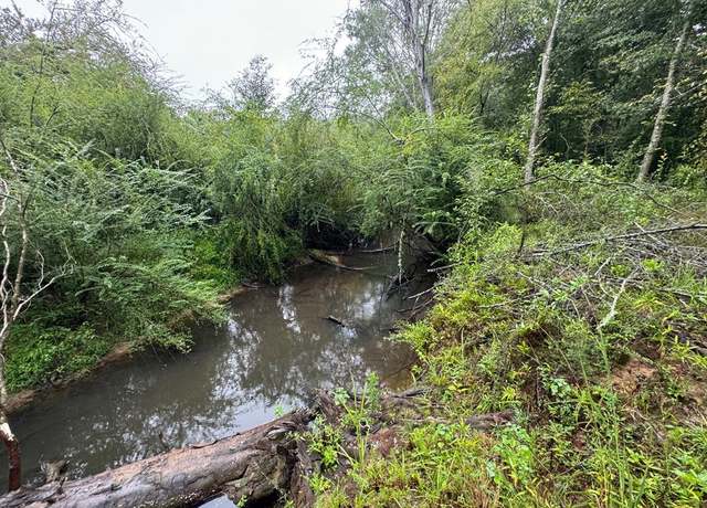 Property at XXX Mt. Olive, Bogue Chitto, MS 39629