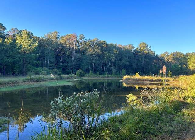 Property at TBD Highway 569, Smithdale, MS 39664