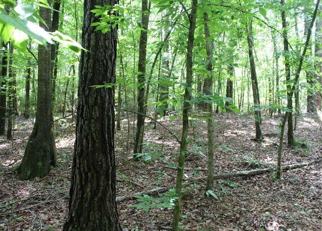 Property at 0000 Lee Dr SE, Bogue Chitto, MS 39629