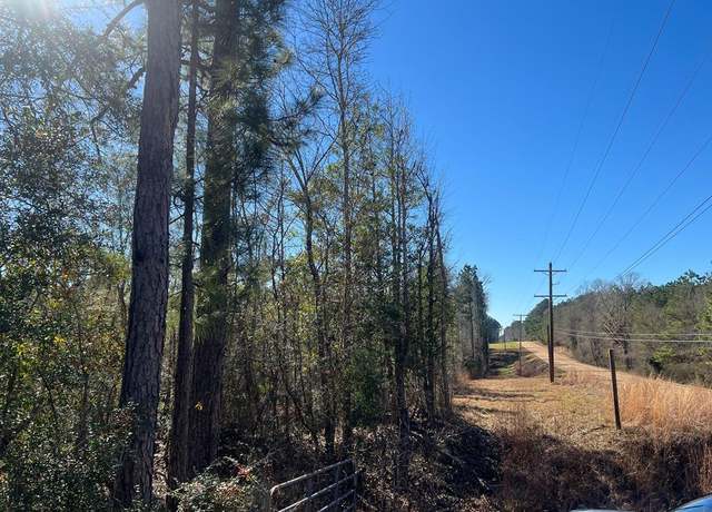 Property at TBD Ms-24, Centreville, MS 39631