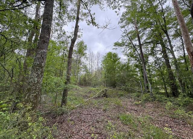 Property at 0 Light Plant Rd, Monticello, MS 39654