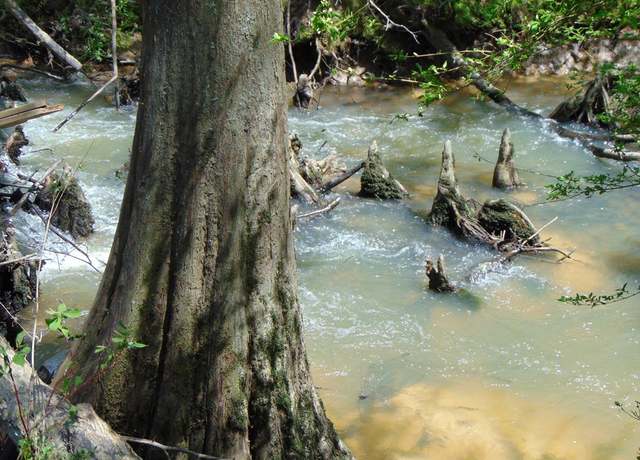 Property at 7075 Martinsville Rd, Wesson, MS 39191