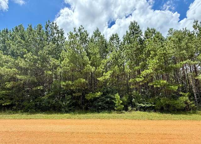 Property at 2316 Traci Loop, Bogue Chitto, MS 39629