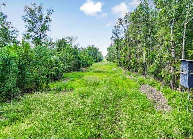 Property at 0 Jack Torres Rd, Erwinville, LA 70729