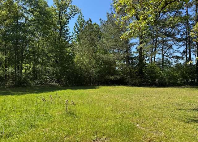 Property at 0 Bogue Chitto Rd, Smithdale, MS 39664