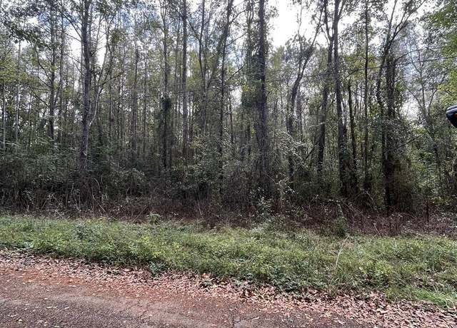 Property at 1069 Morgantown Rd, Mccomb, MS 39648
