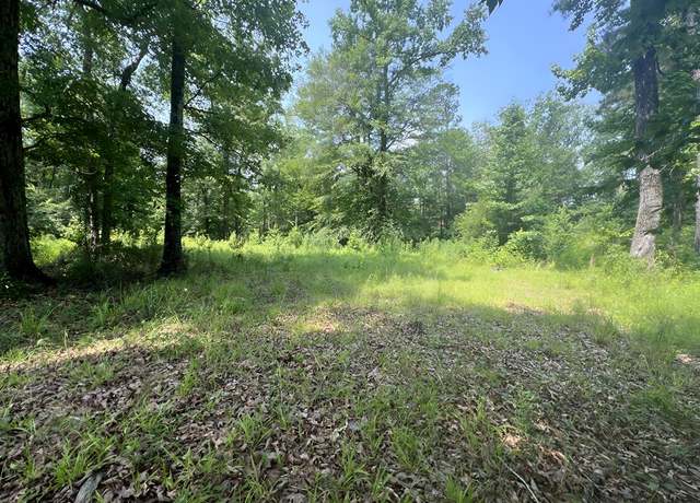 Property at TBD Paige Dr, Mccomb, MS 39648