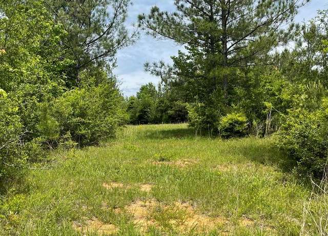 Property at 00 Reeves Rd, Ruth, MS 39662