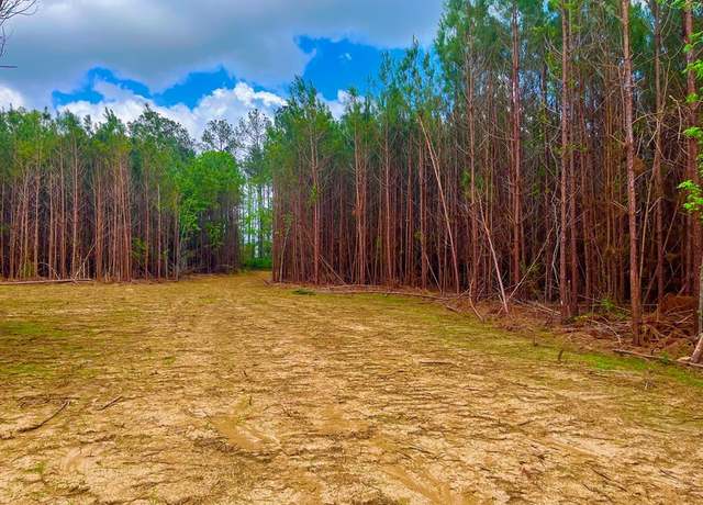 Property at TBD Reeves Rd SE, Ruth, MS 39662