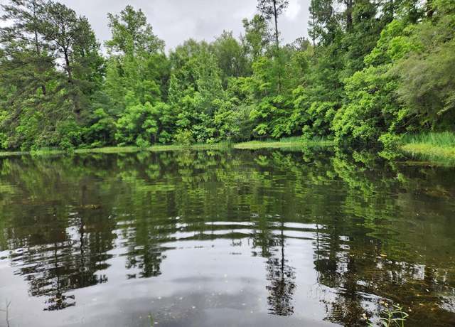Property at 251 Saint Paul Rd, Sandy Hook, MS 39478