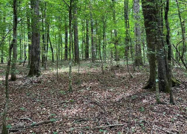 Property at XXX Catbird Ln, Magnolia, MS 39652