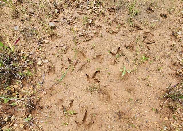 Property at TBD Valley Ln, Summit, MS 39666