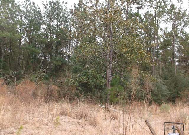 Property at TBD Perrott Road Lot #2, Mccomb, MS 39652