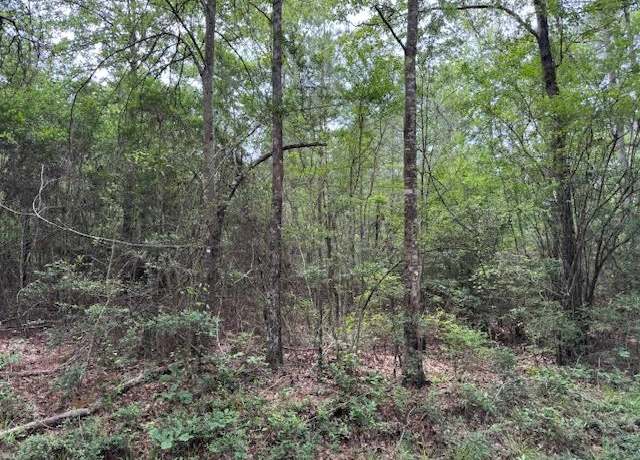 Property at NA New Home Rd, Magnolia, MS 39652