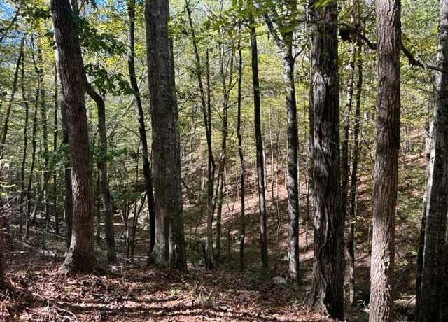 Property at TBD Highway 550, Union Church, MS 39668