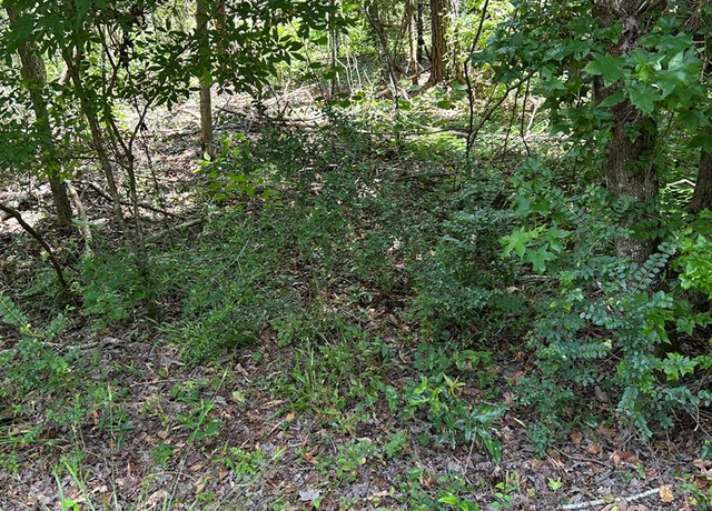 Property at TBD East Homochitto Rd, Gloster, MS 39638