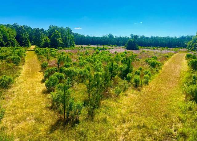 Property at TBD Lewis Ln, Gloster, MS 39638