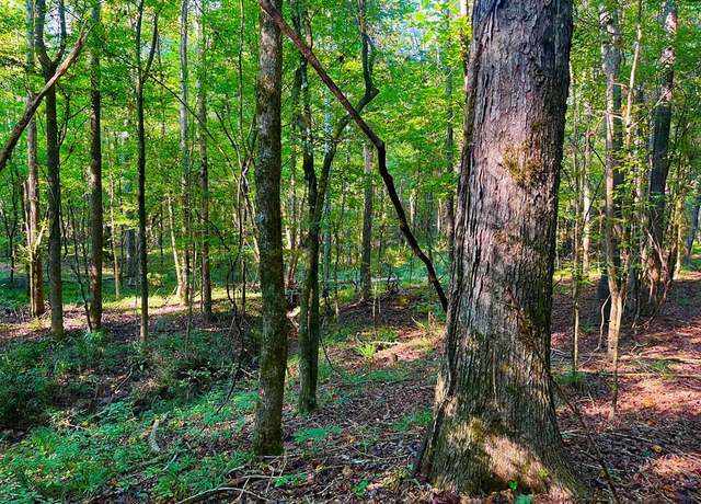 Property at 3050 James Dr, Wesson, MS 39191