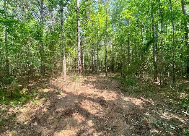 Property at 0 Primitive Dr SE, Ruth, MS 39662