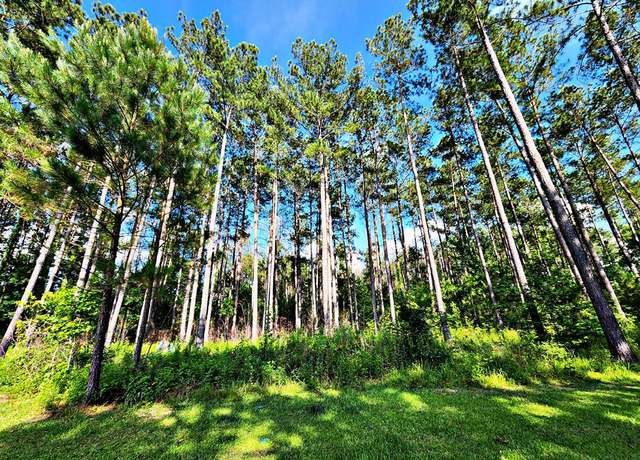 Property at 1570 Shelby Ln, Bogue Chitto, MS 39629