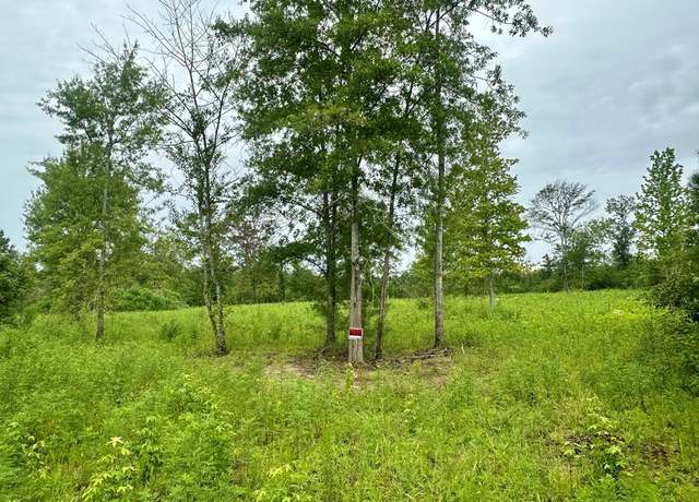 Property at TBD Bahalia Rd NE, Wesson, MS 39191