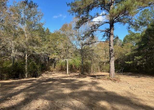 Property at 0 Highway 570, Summit, MS 39666