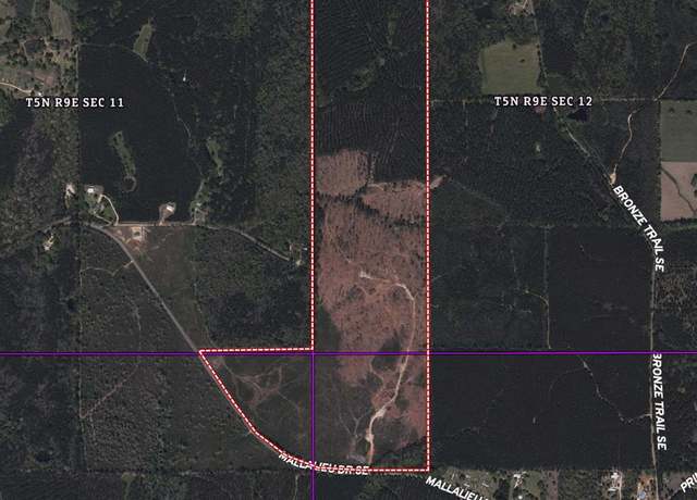 Property at 1234 Mallilieu Rd, Ruth, MS 39662