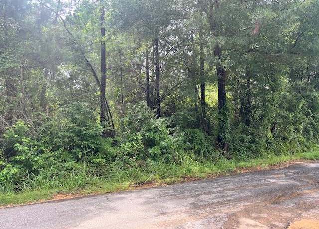 Property at 00 Cole Dr SE, Ruth, MS 39662