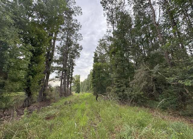 Property at 0 LA Hwy 442, Albany, LA 70711