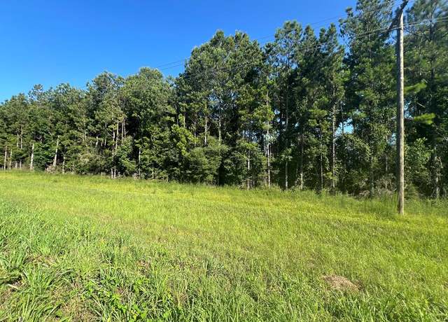 Property at XXX Highway 44, Jayess, MS 39641